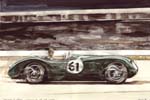 Aquarell Jaguar C-Type